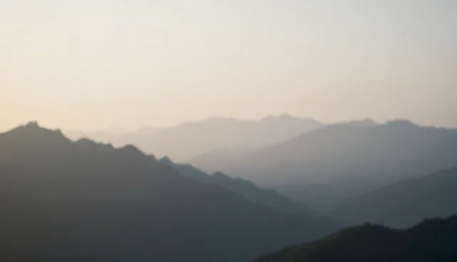 持续优化：软件研发服务中的问题处理分析