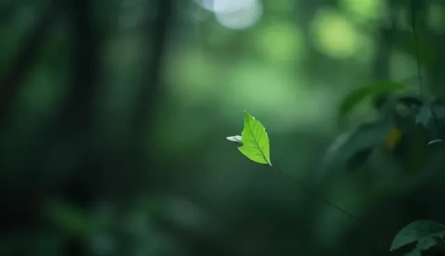 后维护支持场景中如何控制成本